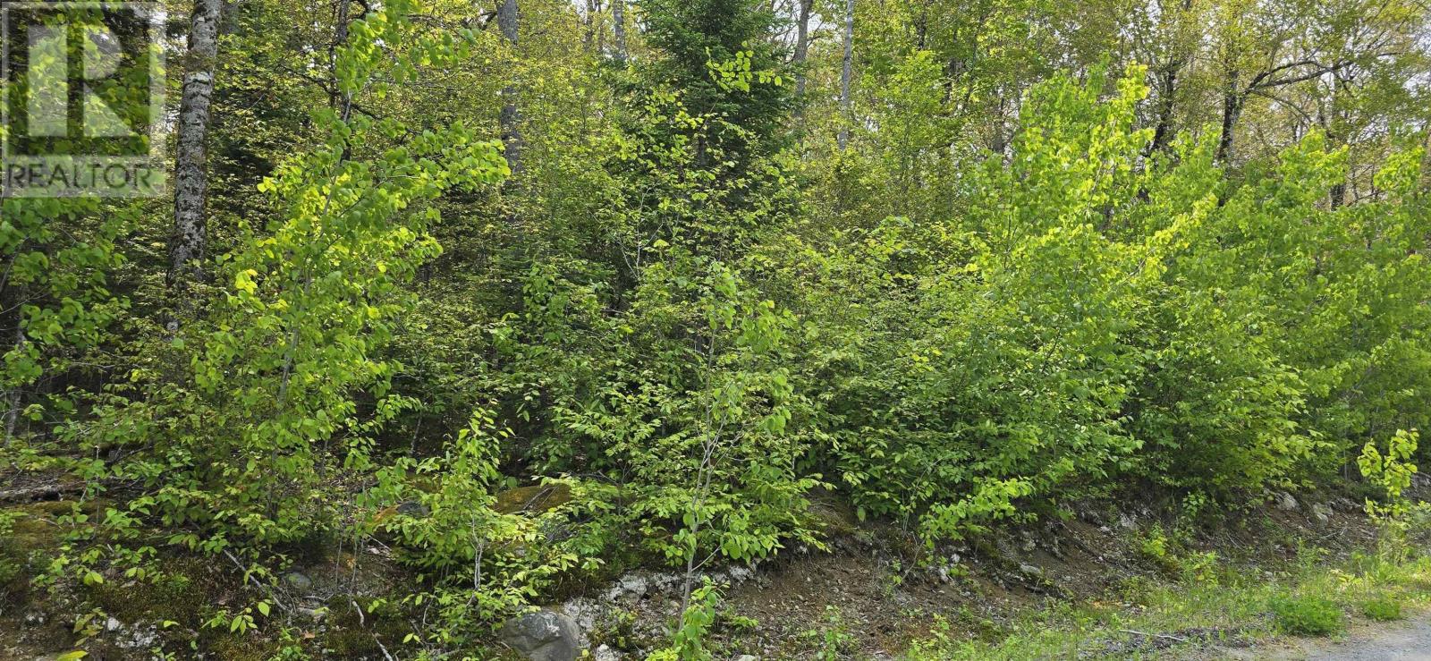 Lot 6 Nathan Croft Road, Camperdown, Nova Scotia  B4V 6T9 - Photo 9 - 202501253