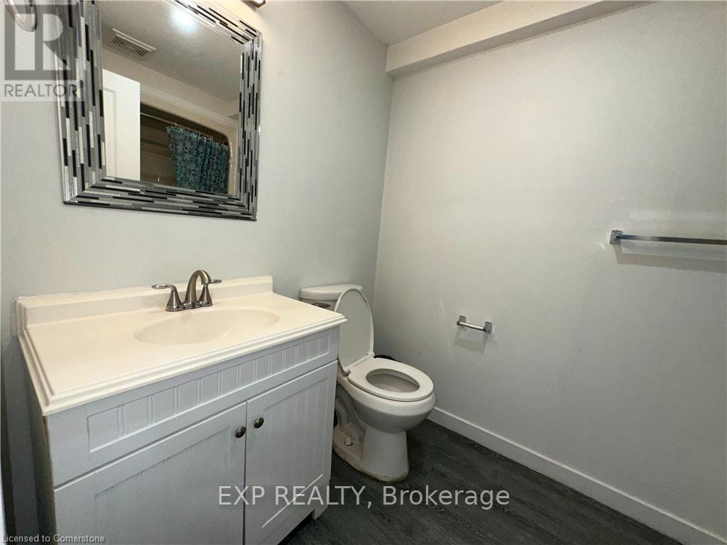 Lower - C - 25 Mohawk Street, Brantford, Ontario  N3S 2W2 - Photo 19 - X12333436