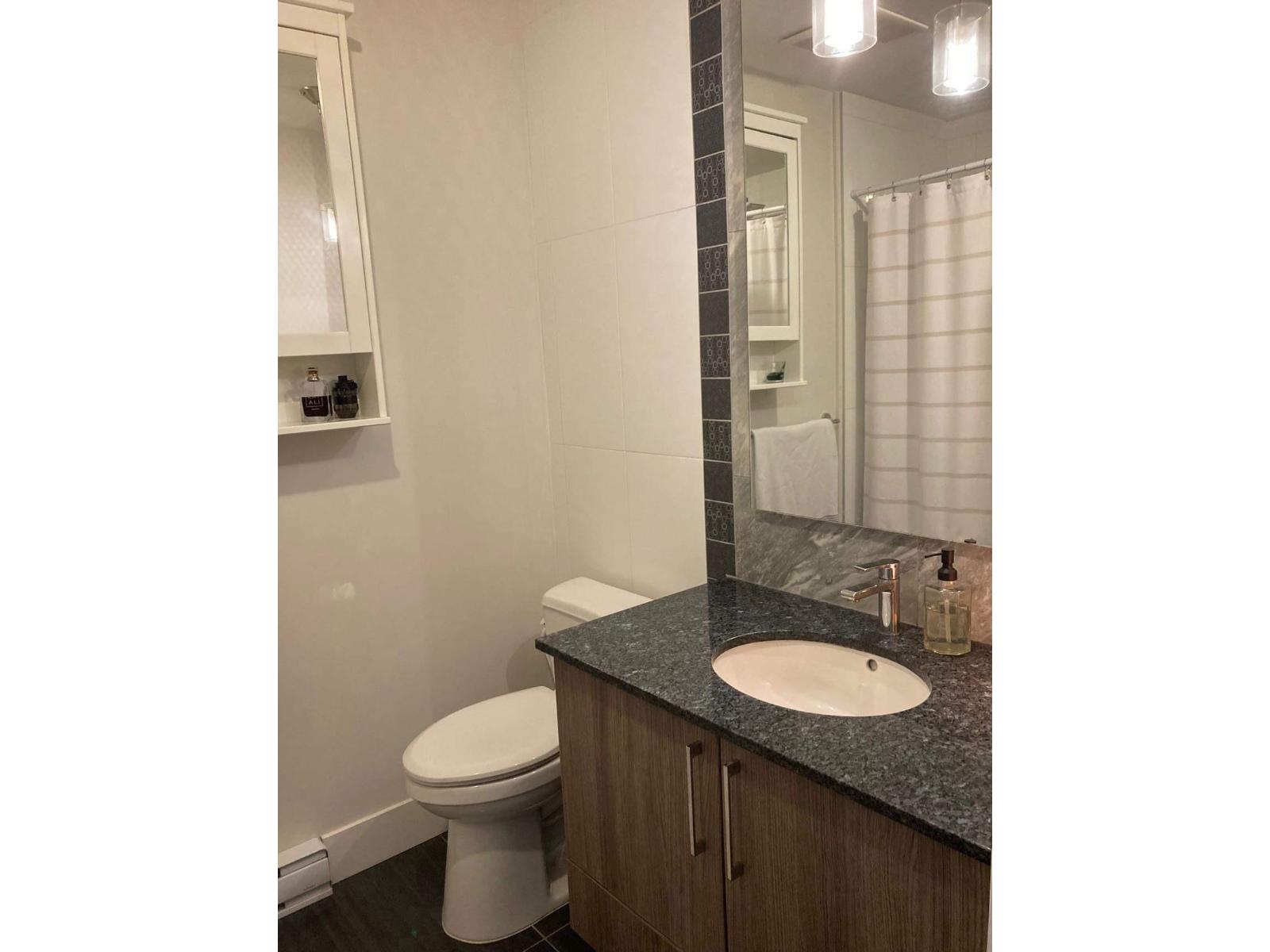 C317 20211 66 Avenue, Langley, British Columbia V2Y 0L4 - Photo 8 - R3035105