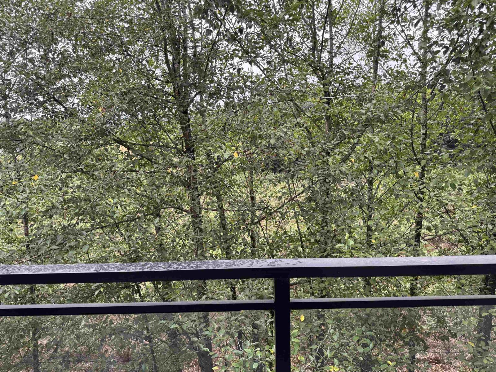 C317 20211 66 Avenue, Langley, British Columbia V2Y 0L4 - Photo 18 - R3035105