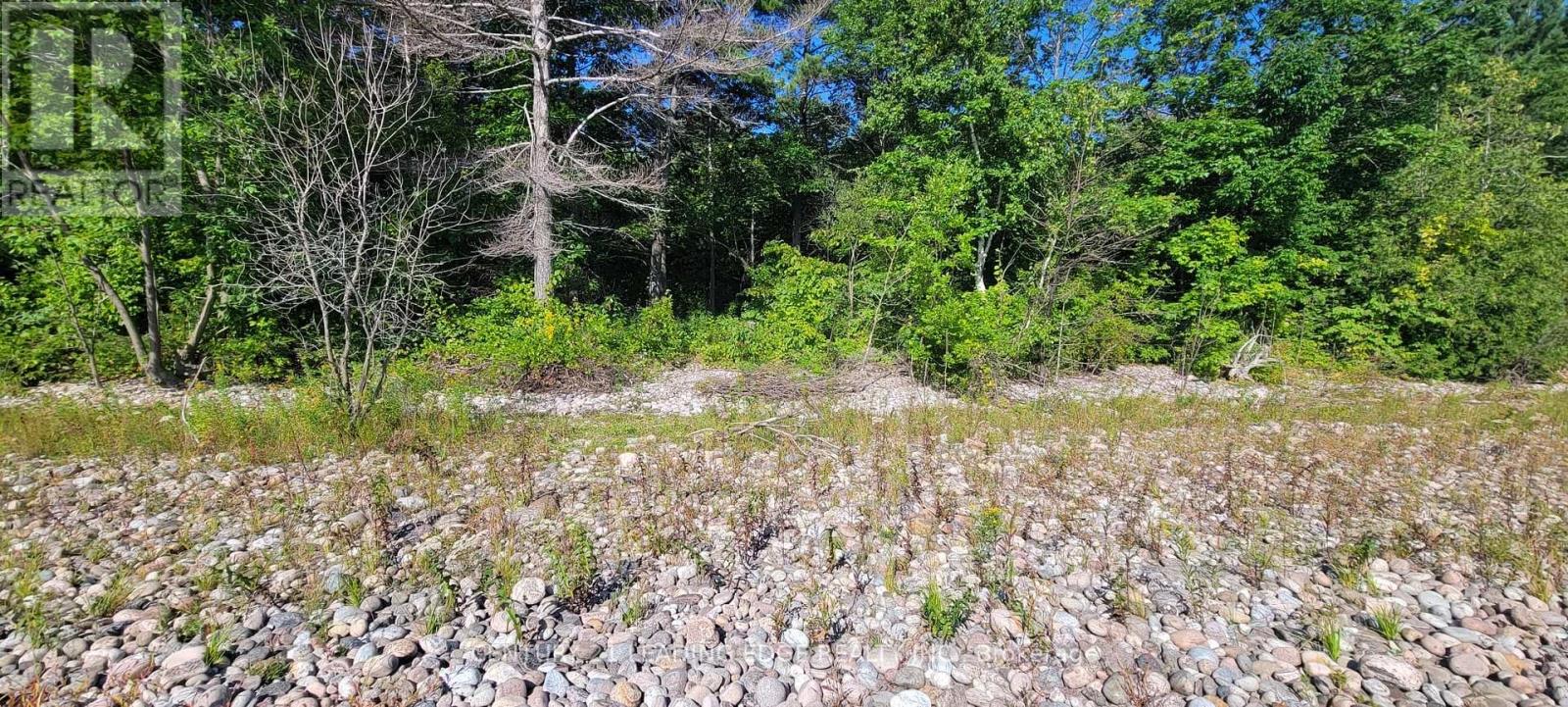 16 Giant's Tomb Island, Tiny, Ontario  L9M 1R2 - Photo 10 - S12333553