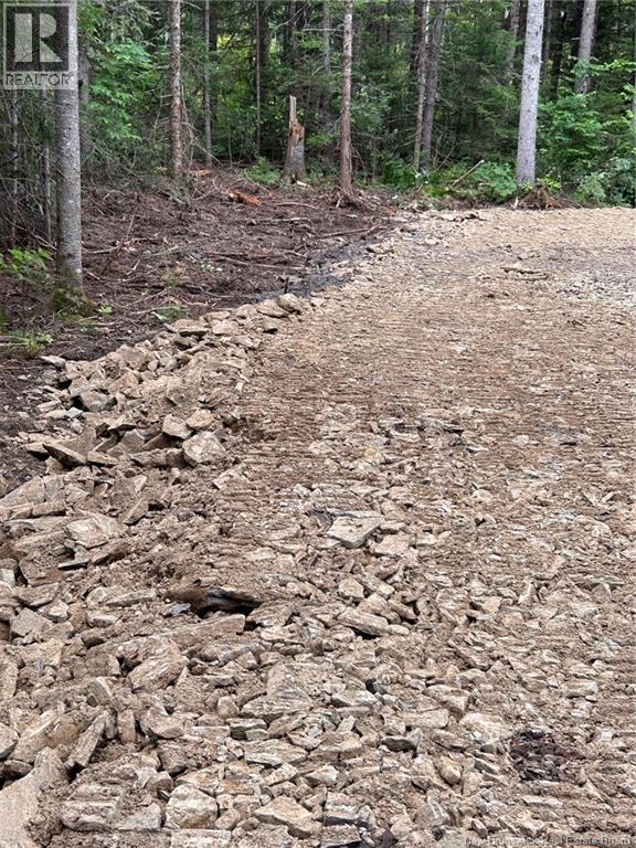 516 Salem Rd, Canaan, New Brunswick  E4Z 5S3 - Photo 3 - NB124586