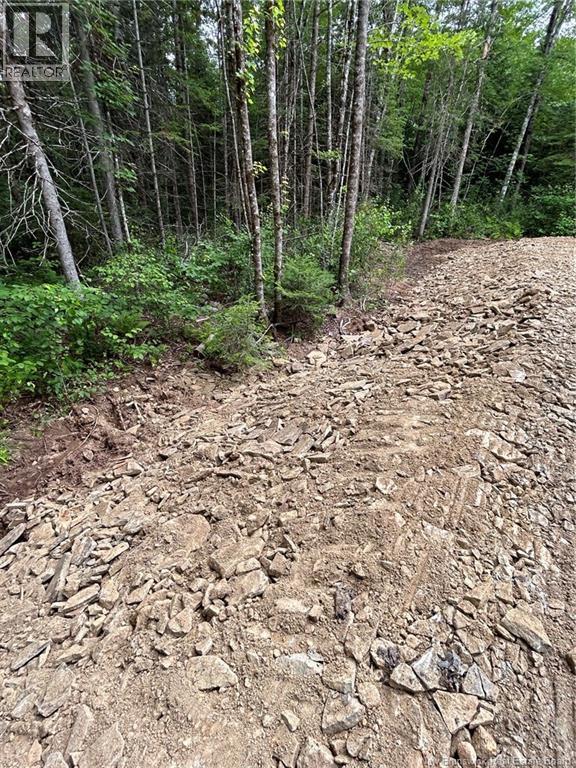 516 Salem Rd, Canaan, New Brunswick  E4Z 5S3 - Photo 4 - NB124586