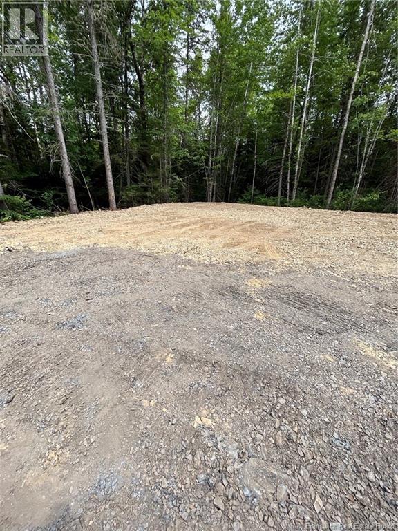 516 Salem Rd, Canaan, New Brunswick  E4Z 5S3 - Photo 5 - NB124586