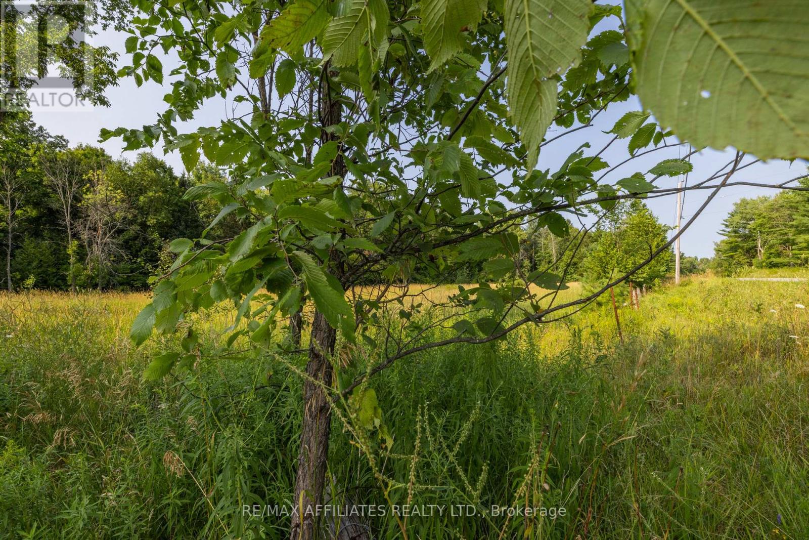 752 Bennett Lake Road, Tay Valley, Ontario  K0G 1A0 - Photo 5 - X12333778