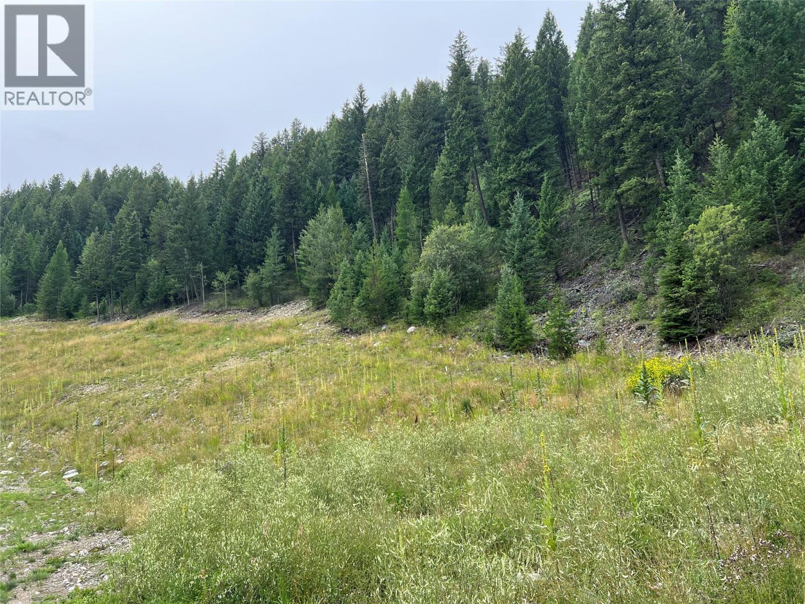 2391 King Street Nw, Cranbrook, British Columbia  V1C 6S7 - Photo 4 - 10358707