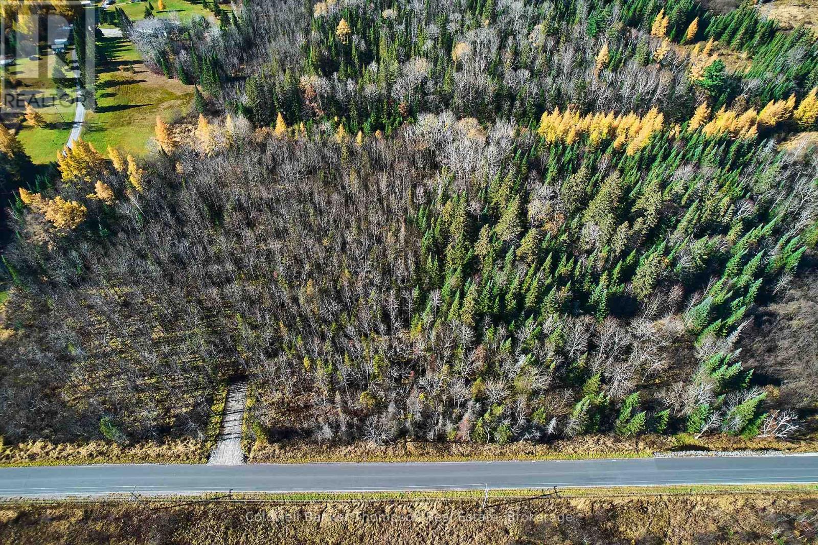 0 Old North Road, Huntsville, Ontario  P1H 2J2 - Photo 1 - X12333966