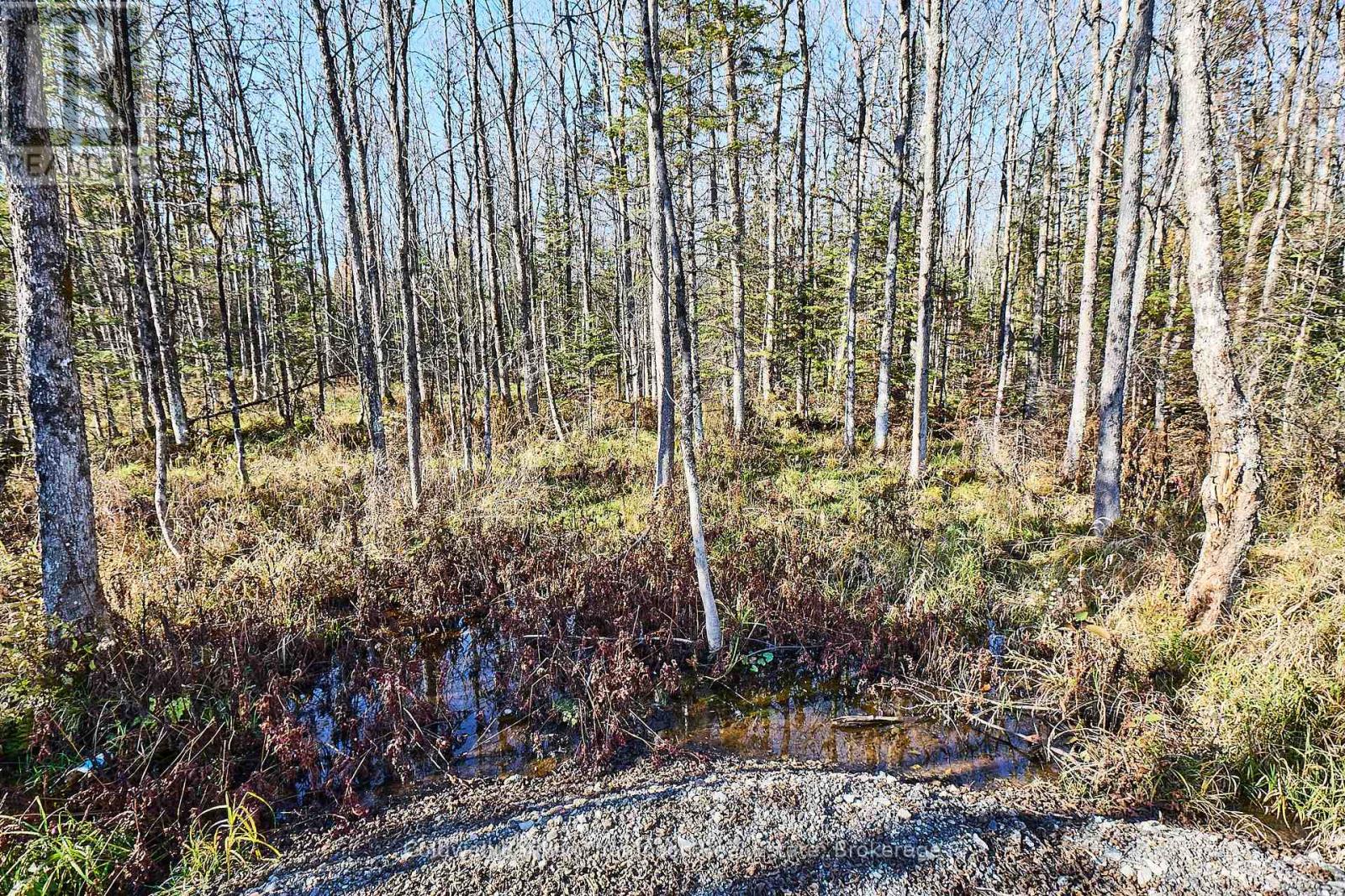 0 Old North Road, Huntsville, Ontario  P1H 2J2 - Photo 11 - X12333966