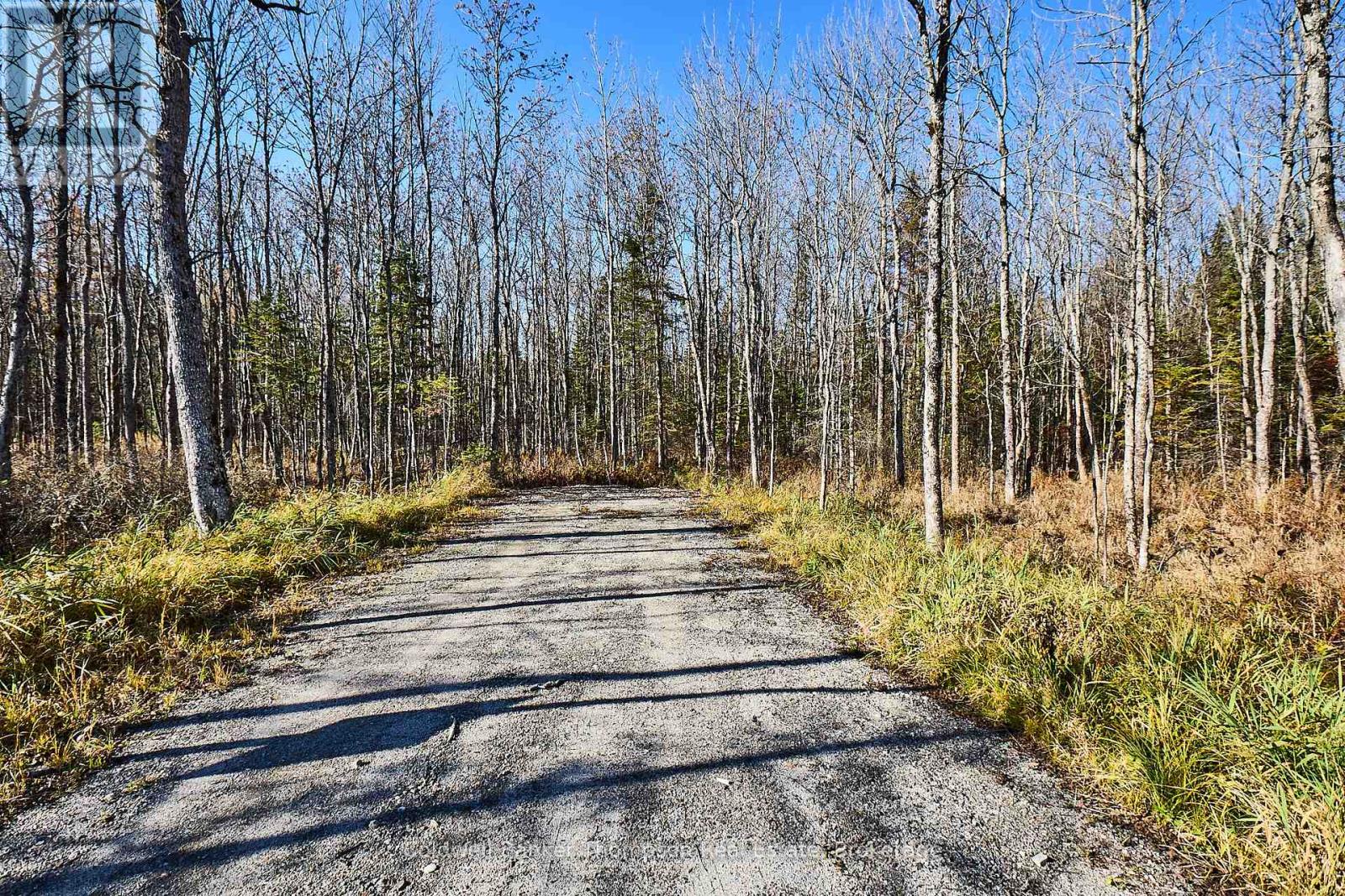 0 Old North Road, Huntsville, Ontario  P1H 2J2 - Photo 6 - X12333966