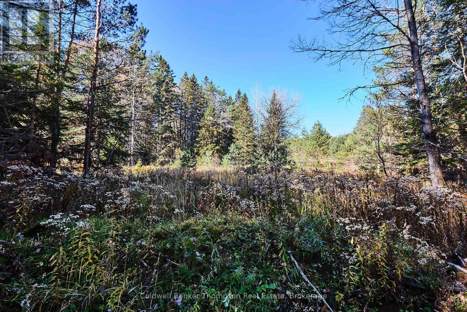 1304 Old North Road, Huntsville, Ontario  P1H 2J4 - Photo 11 - X12333974