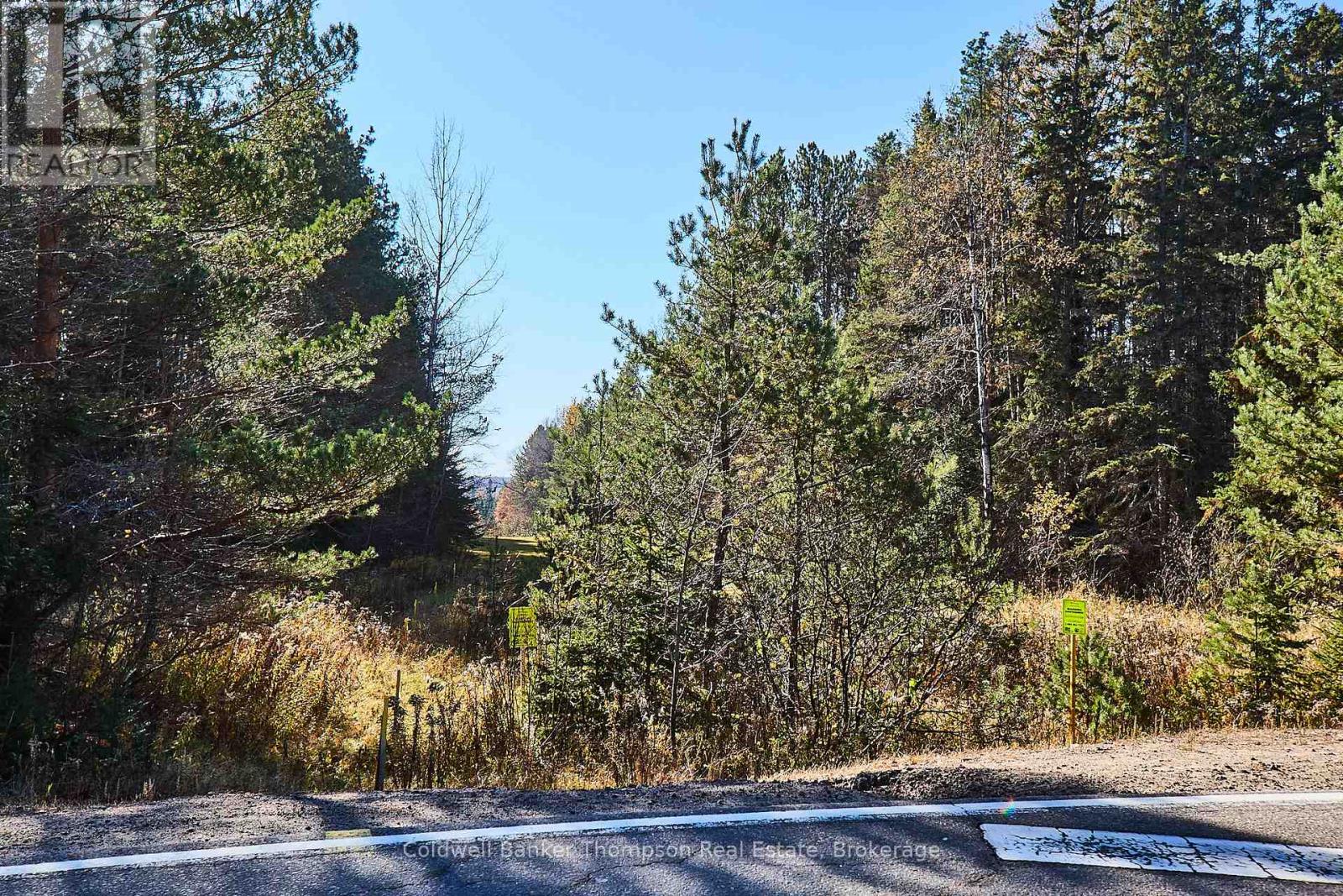 1304 Old North Road, Huntsville, Ontario  P1H 2J4 - Photo 9 - X12333974
