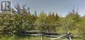 253 Craigen Road, Stone Mills, Ontario  K0K 2S0 - Photo 2 - X12328252