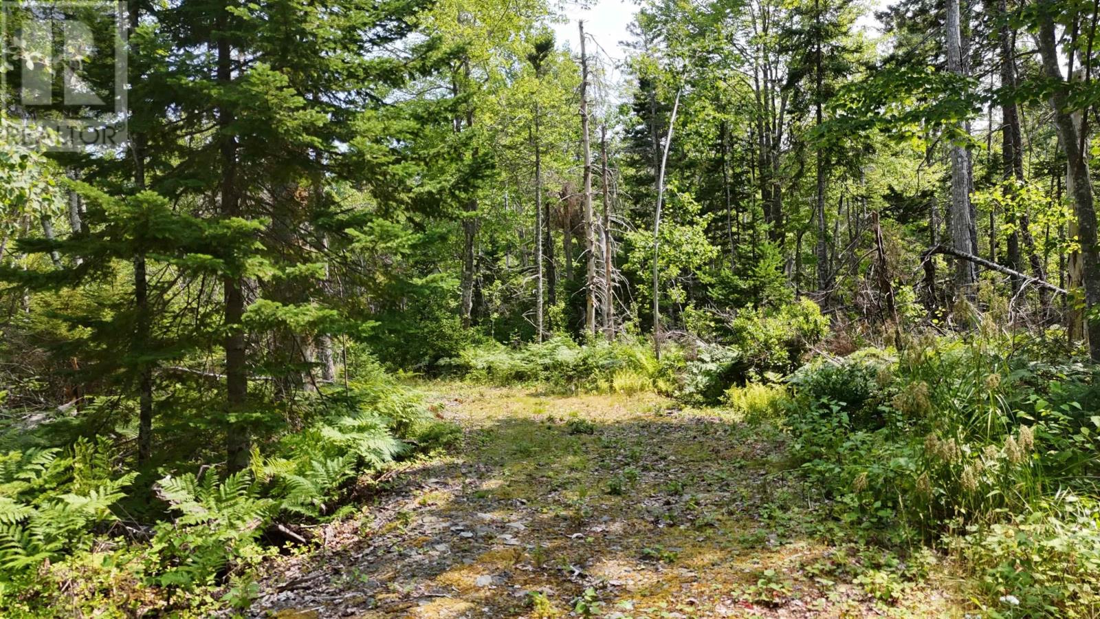 Lot 3 West Bay Highway, The Points West Bay, Nova Scotia  B0E 3K0 - Photo 4 - 202519562
