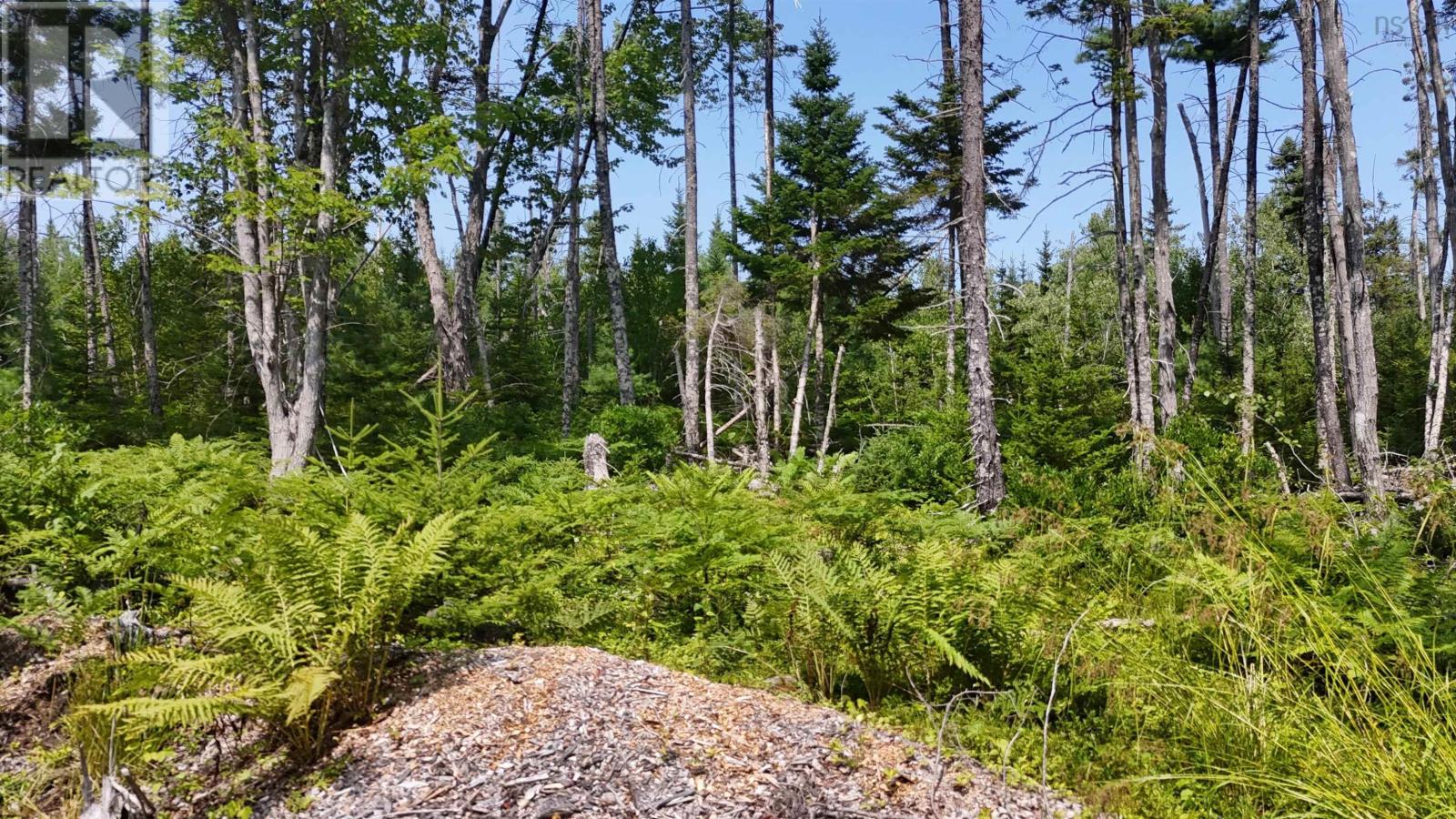 Lot 3 West Bay Highway, The Points West Bay, Nova Scotia  B0E 3K0 - Photo 6 - 202519562