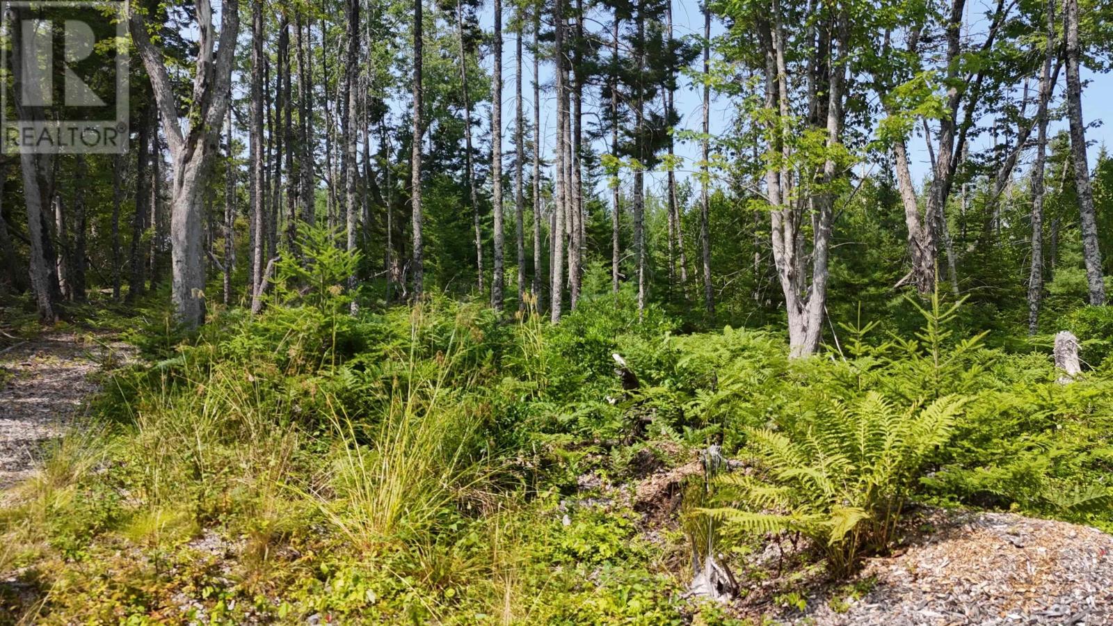 Lot 3 West Bay Highway, The Points West Bay, Nova Scotia  B0E 3K0 - Photo 5 - 202519562