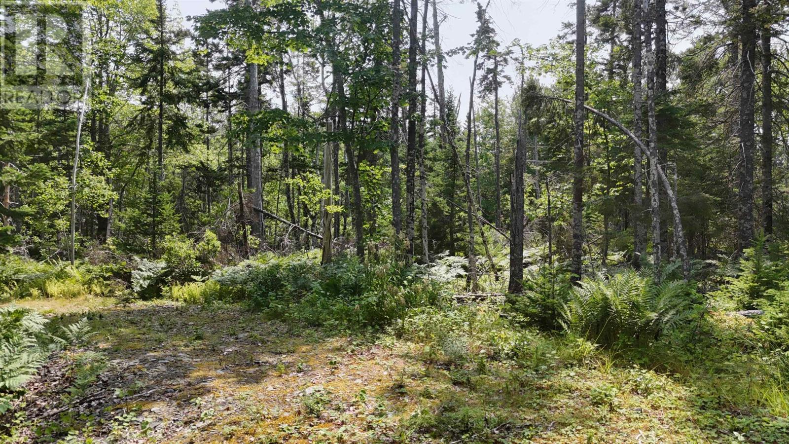 Lot 3 West Bay Highway, The Points West Bay, Nova Scotia  B0E 3K0 - Photo 7 - 202519562