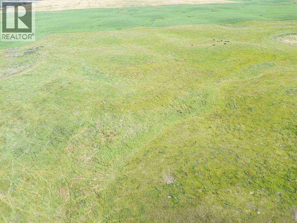 Sw,26,35,22,w$m Hi Way 590 Highway, Elnora, Alberta  T0M 0Y0 - Photo 22 - A2245923