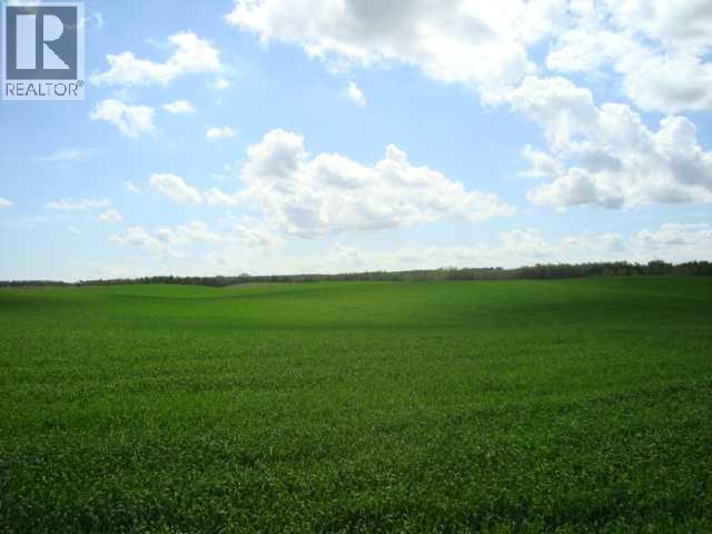 Sw,26,35,22,w$m Hi Way 590 Highway, Elnora, Alberta  T0M 0Y0 - Photo 8 - A2245923