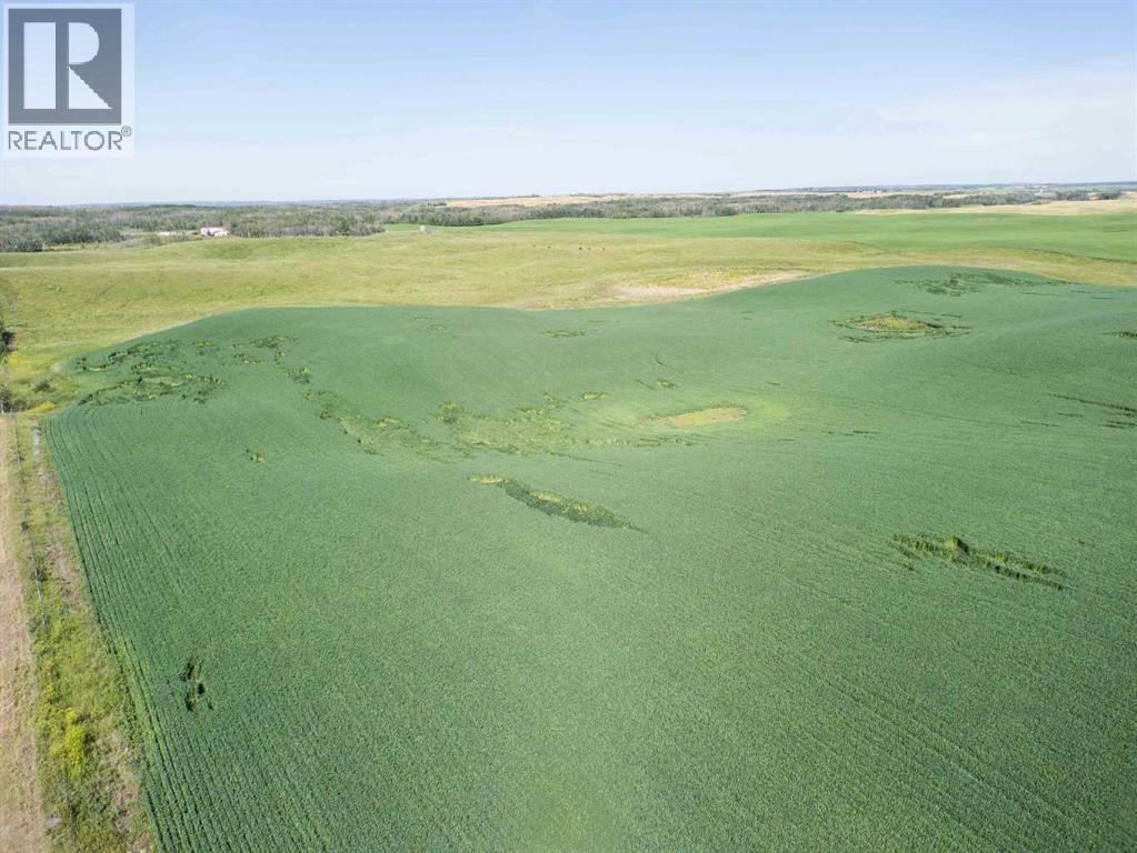 Sw,26,35,22,w$m Hi Way 590 Highway, Elnora, Alberta  T0M 0Y0 - Photo 11 - A2245923