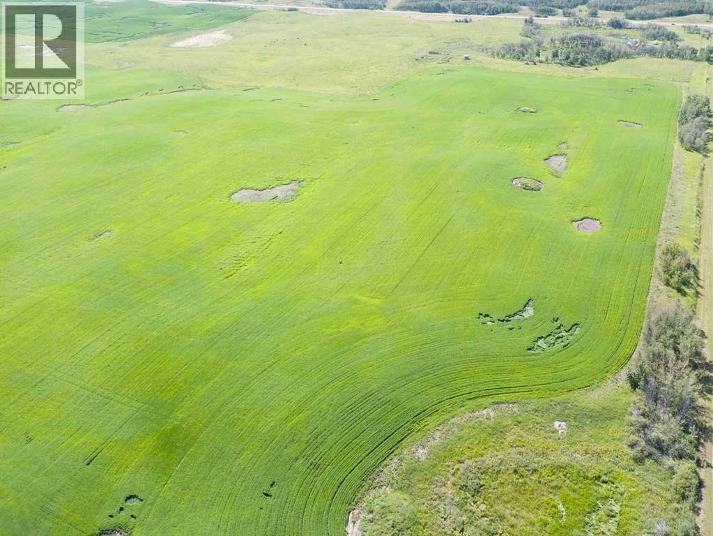 Sw,26,35,22,w$m Hi Way 590 Highway, Elnora, Alberta  T0M 0Y0 - Photo 31 - A2245923