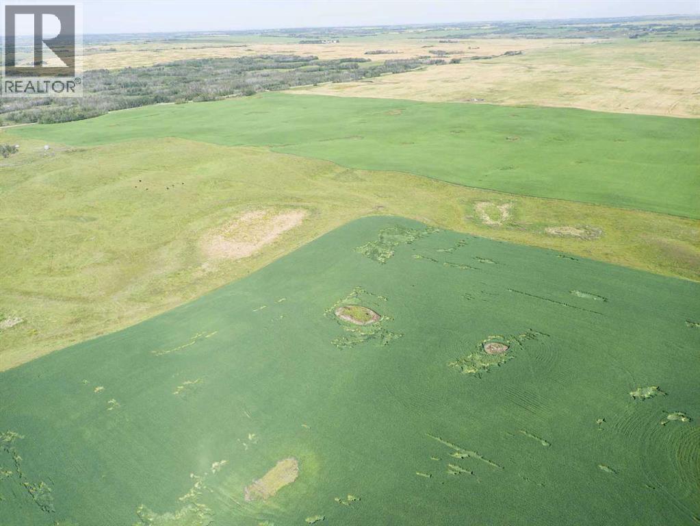 Sw,26,35,22,w$m Hi Way 590 Highway, Elnora, Alberta  T0M 0Y0 - Photo 14 - A2245923