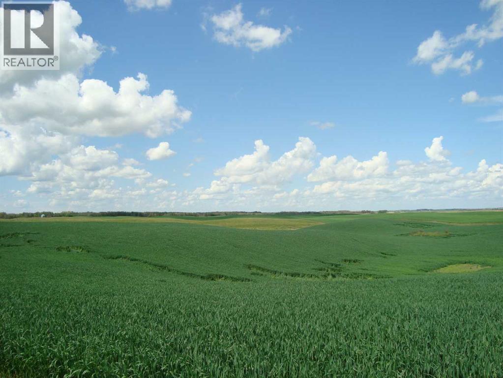 Sw,26,35,22,w$m Hi Way 590 Highway, Elnora, Alberta  T0M 0Y0 - Photo 2 - A2245923