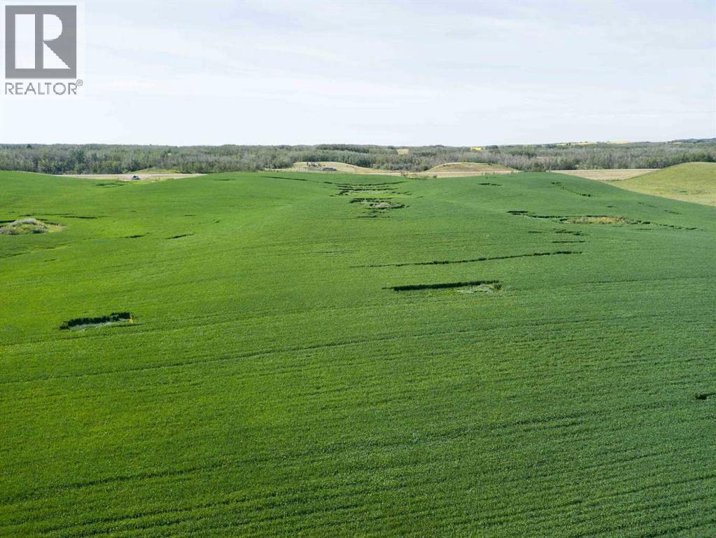 Sw,26,35,22,w$m Hi Way 590 Highway, Elnora, Alberta  T0M 0Y0 - Photo 29 - A2245923