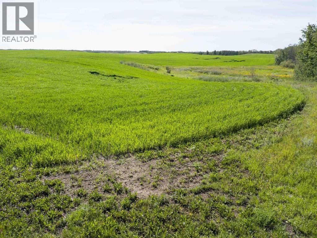 Sw,26,35,22,w$m Hi Way 590 Highway, Elnora, Alberta  T0M 0Y0 - Photo 30 - A2245923