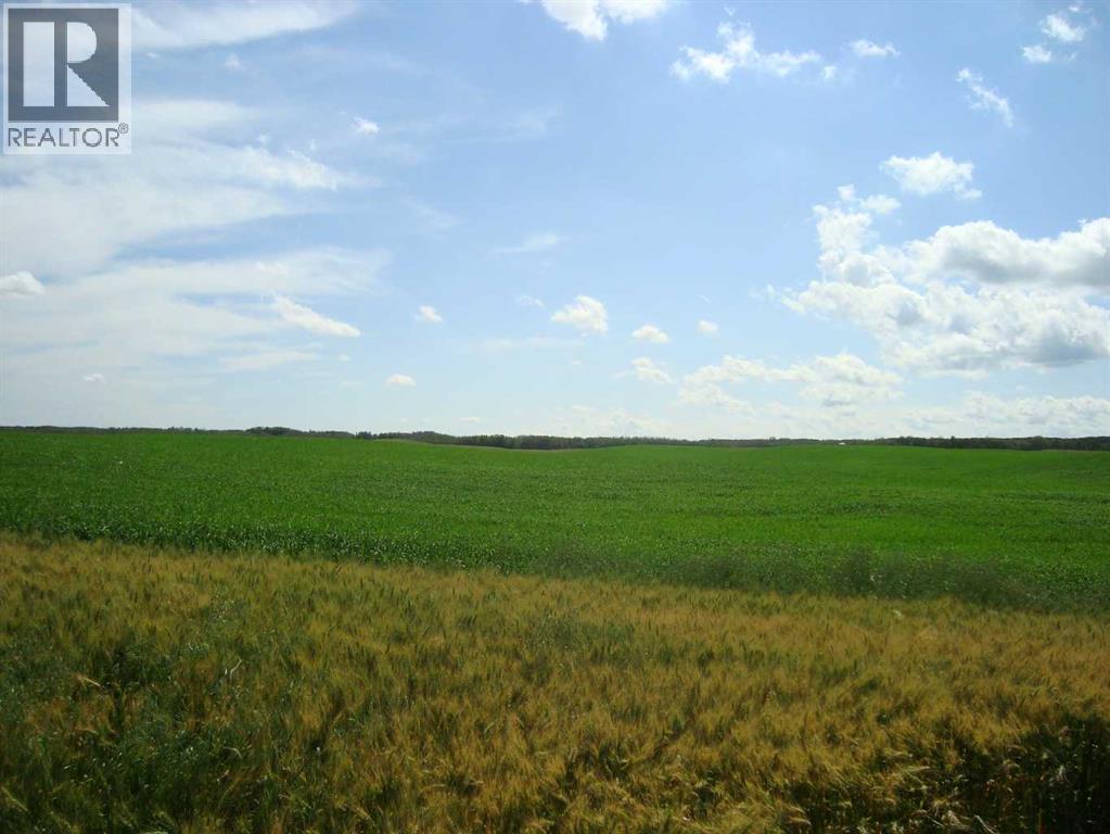 Sw,26,35,22,w$m Hi Way 590 Highway, Elnora, Alberta  T0M 0Y0 - Photo 10 - A2245923