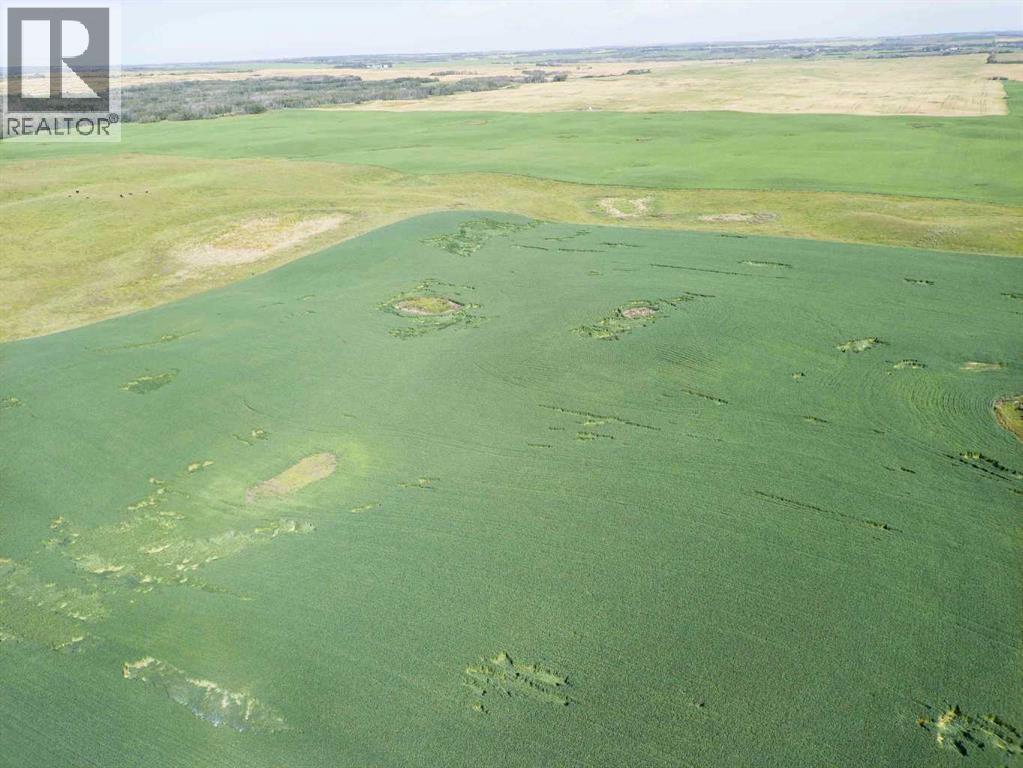 Sw,26,35,22,w$m Hi Way 590 Highway, Elnora, Alberta  T0M 0Y0 - Photo 12 - A2245923