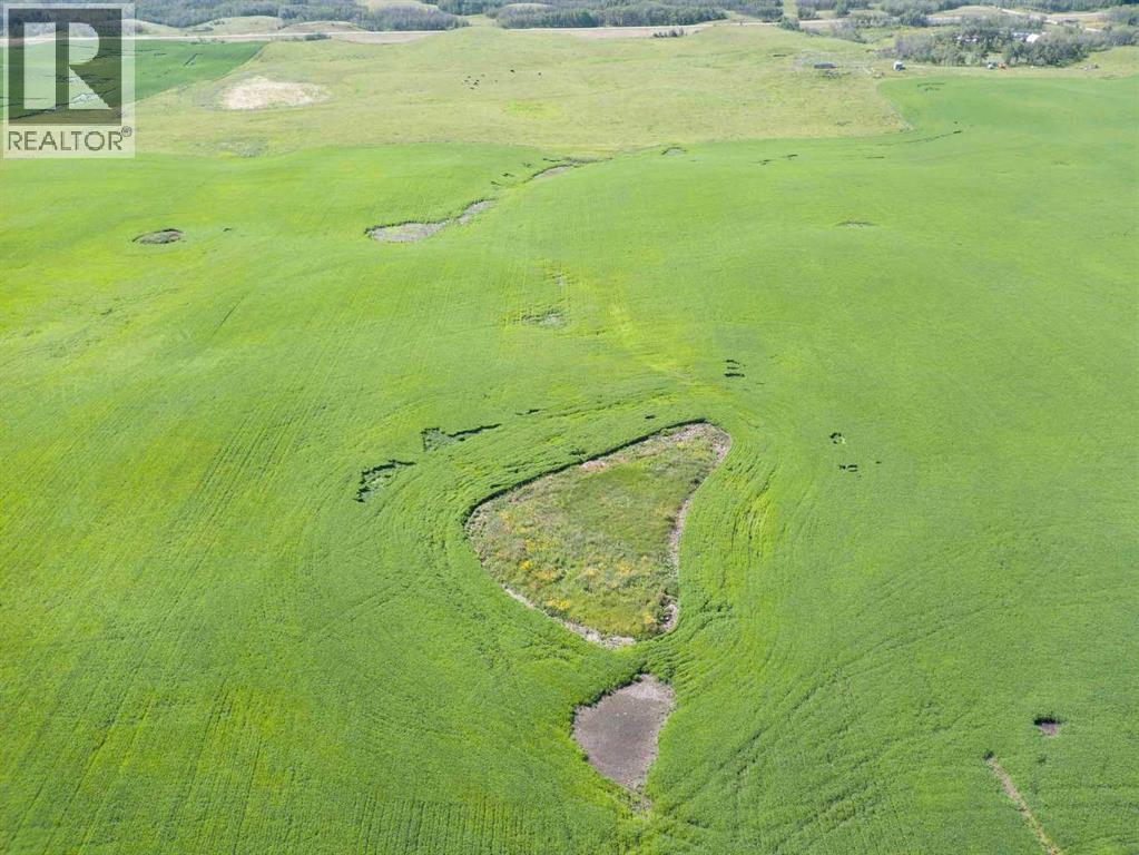 Sw,26,35,22,w$m Hi Way 590 Highway, Elnora, Alberta  T0M 0Y0 - Photo 38 - A2245923