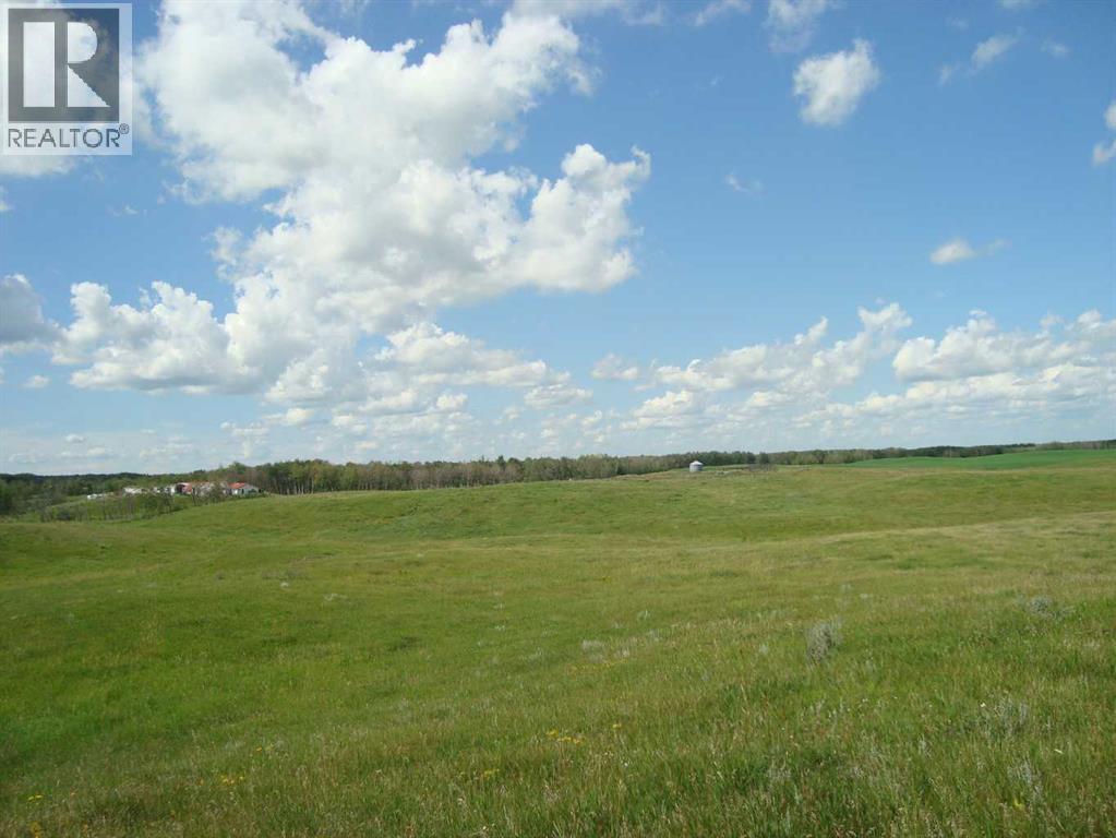 Sw,26,35,22,w$m Hi Way 590 Highway, Elnora, Alberta  T0M 0Y0 - Photo 7 - A2245923