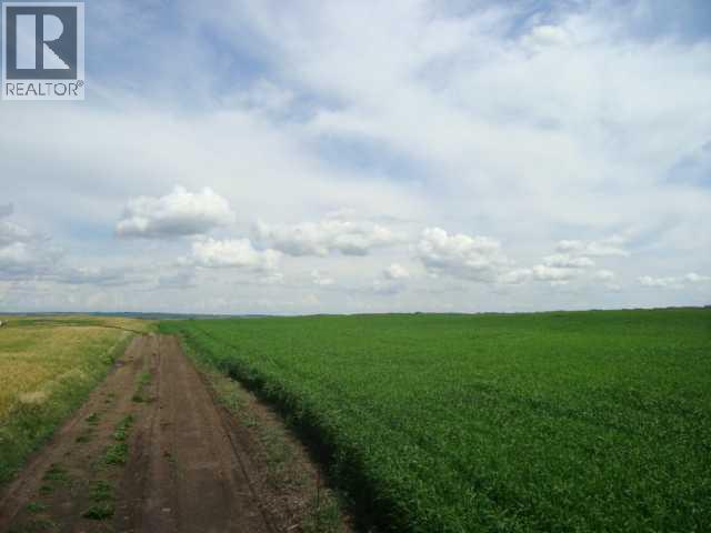 Sw,26,35,22,w$m Hi Way 590 Highway, Elnora, Alberta  T0M 0Y0 - Photo 9 - A2245923