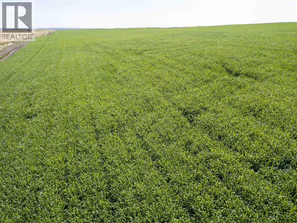 Sw,26,35,22,w$m Hi Way 590 Highway, Elnora, Alberta  T0M 0Y0 - Photo 34 - A2245923