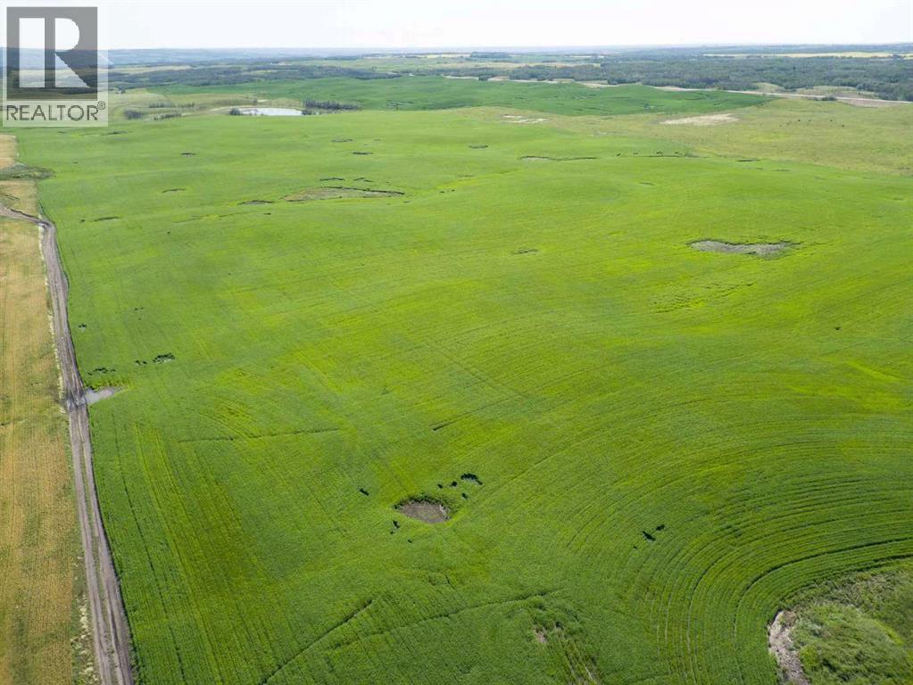 Sw,26,35,22,w$m Hi Way 590 Highway, Elnora, Alberta  T0M 0Y0 - Photo 33 - A2245923