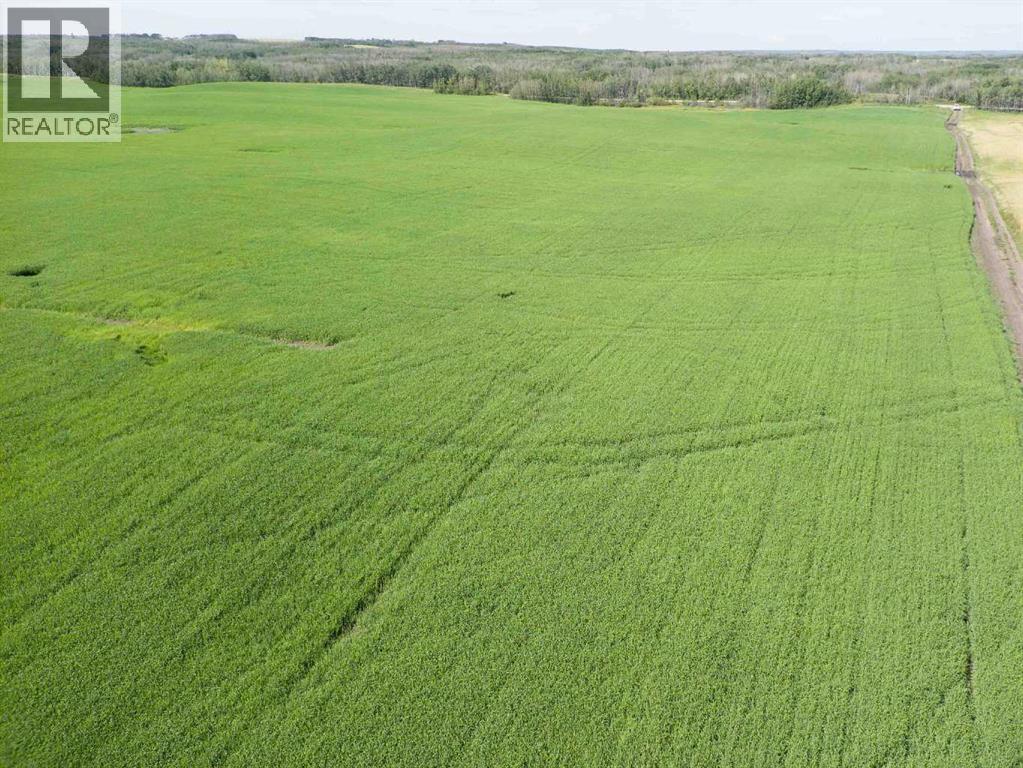 Sw,26,35,22,w$m Hi Way 590 Highway, Elnora, Alberta  T0M 0Y0 - Photo 37 - A2245923