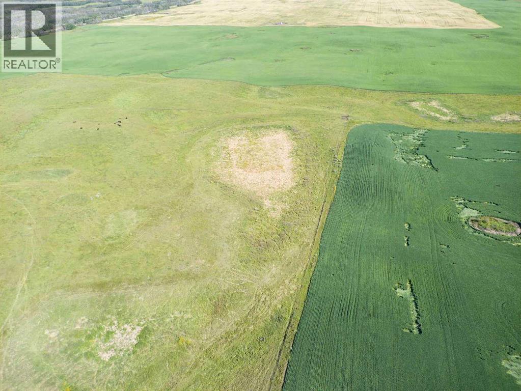 Sw,26,35,22,w$m Hi Way 590 Highway, Elnora, Alberta  T0M 0Y0 - Photo 18 - A2245923