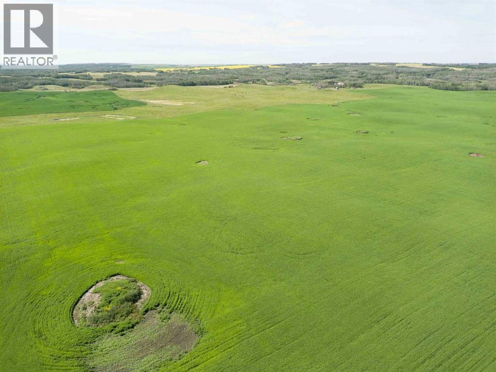 Sw,26,35,22,w$m Hi Way 590 Highway, Elnora, Alberta  T0M 0Y0 - Photo 42 - A2245923