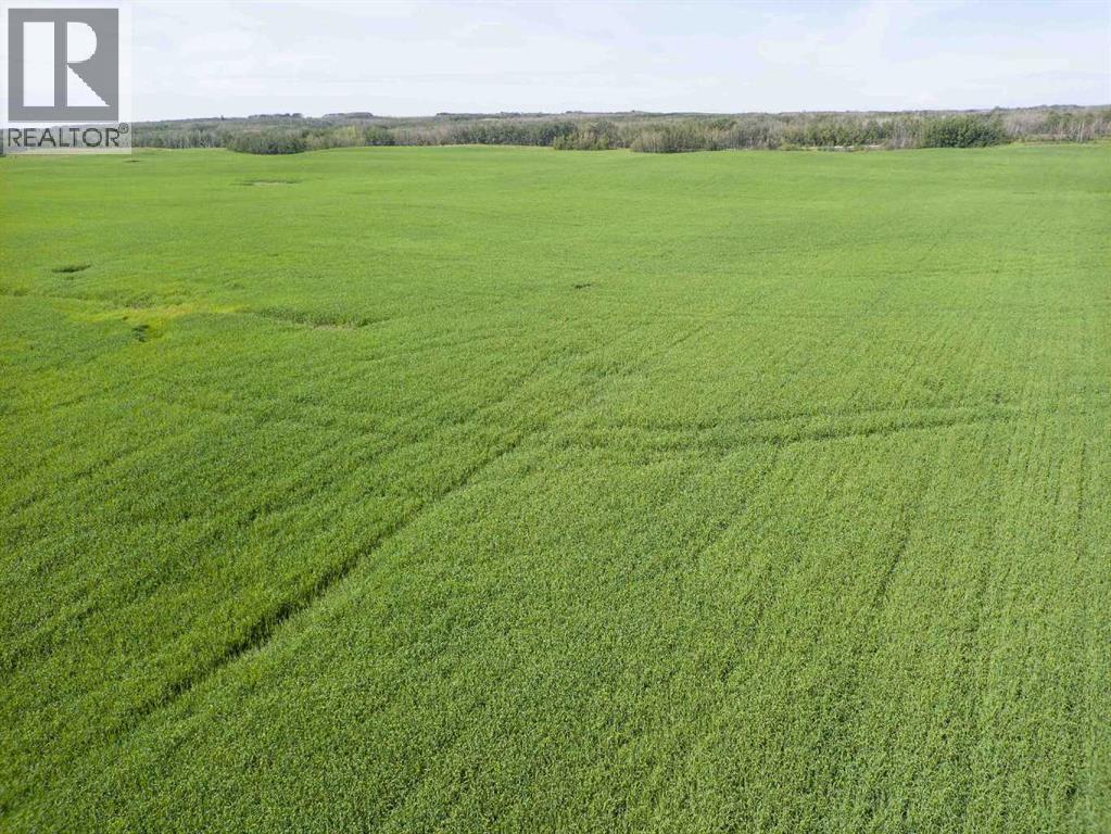 Sw,26,35,22,w$m Hi Way 590 Highway, Elnora, Alberta  T0M 0Y0 - Photo 46 - A2245923
