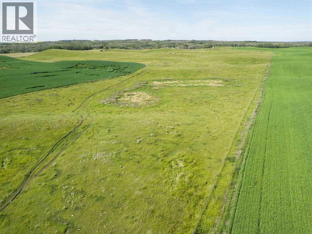 Sw,26,35,22,w$m Hi Way 590 Highway, Elnora, Alberta  T0M 0Y0 - Photo 27 - A2245923