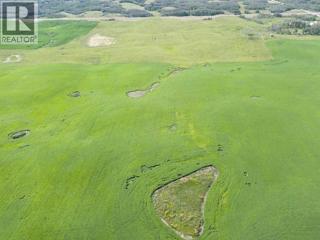 Sw,26,35,22,w$m Hi Way 590 Highway, Elnora, Alberta  T0M 0Y0 - Photo 39 - A2245923