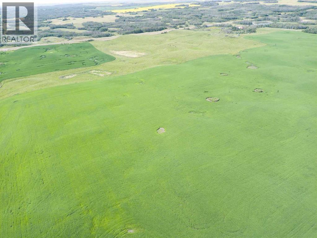 Sw,26,35,22,w$m Hi Way 590 Highway, Elnora, Alberta  T0M 0Y0 - Photo 44 - A2245923