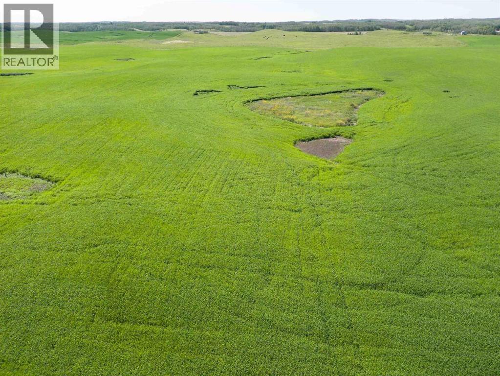 Sw,26,35,22,w$m Hi Way 590 Highway, Elnora, Alberta  T0M 0Y0 - Photo 36 - A2245923
