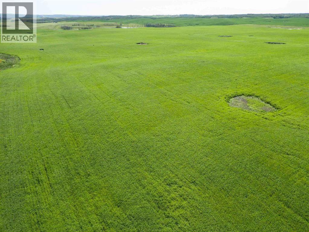 Sw,26,35,22,w$m Hi Way 590 Highway, Elnora, Alberta  T0M 0Y0 - Photo 35 - A2245923