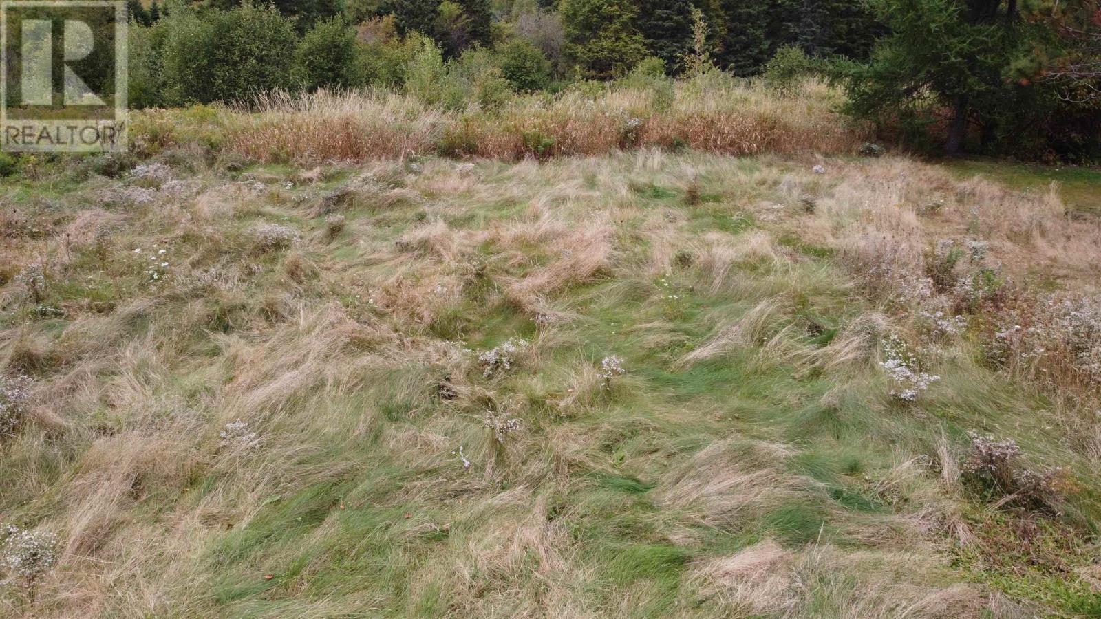 Lot Greenhill Road, Greenhill, Nova Scotia  B0K 2A0 - Photo 20 - 202520121