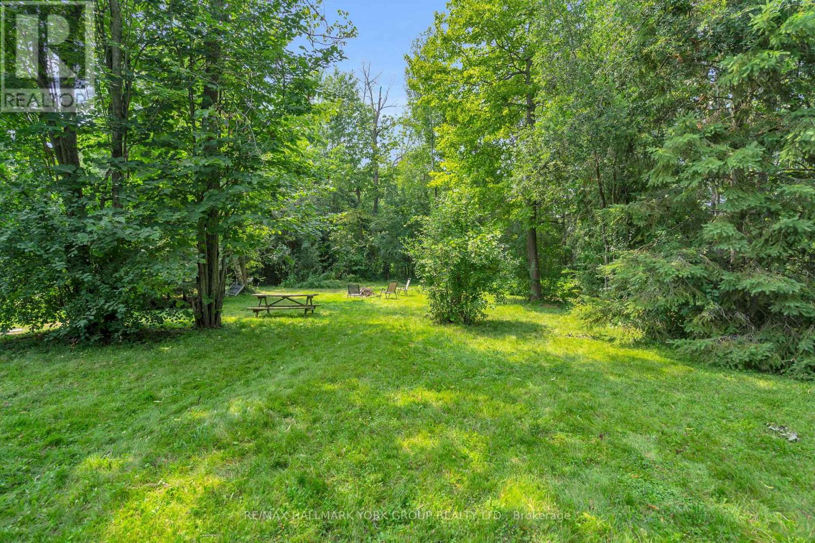 96 Riverview Beach Road, Georgina, Ontario  L0E 1N0 - Photo 36 - N12333900
