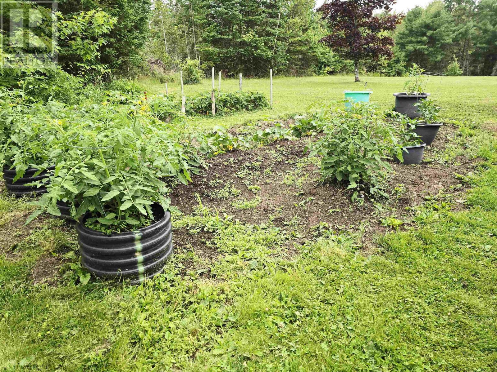 2930 Gairloch Road, Rocklin, Nova Scotia  B0K 2A0 - Photo 39 - 202517654