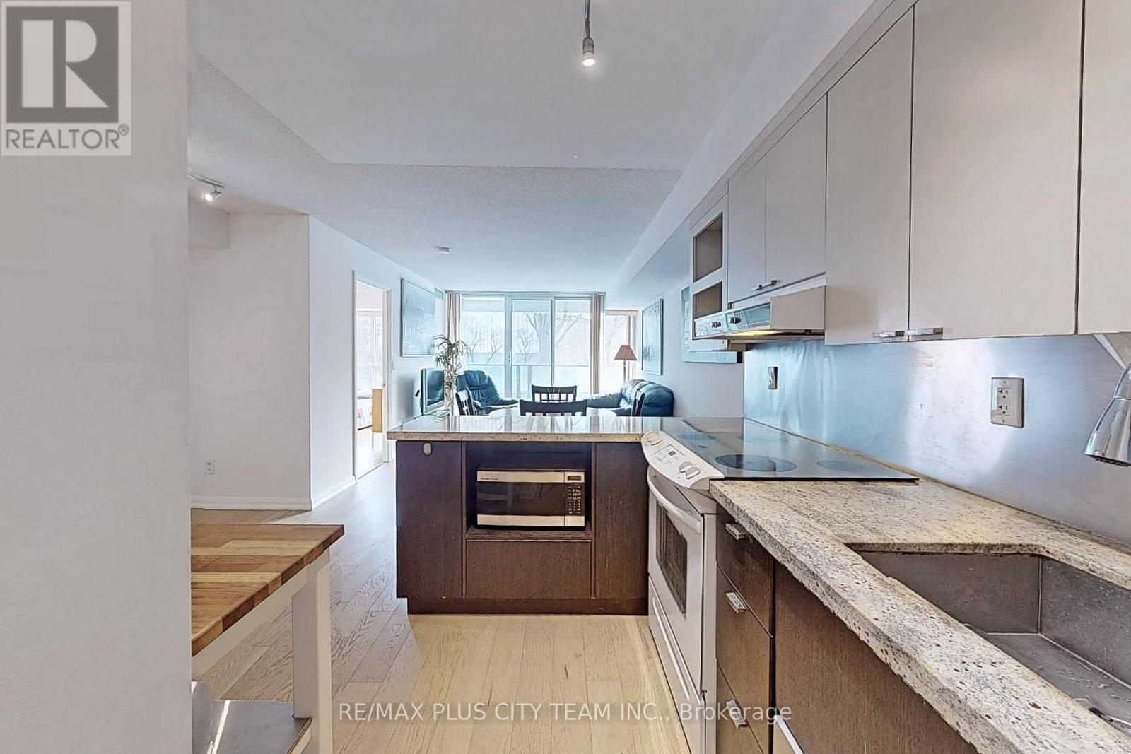 308 - 111 Elizabeth Street, Toronto, Ontario  M5G 1P7 - Photo 12 - C12334074