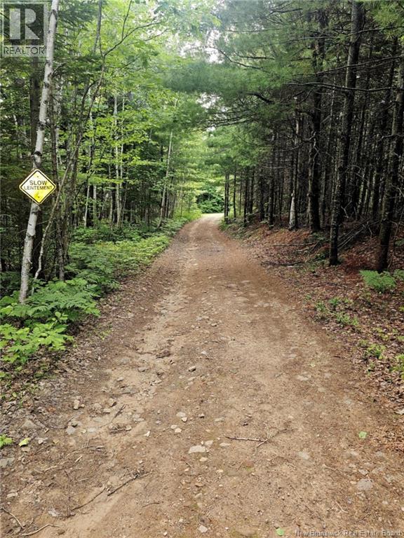 Lot 34 Off Green Road, Elgin, New Brunswick  E4Z 6L4 - Photo 16 - NB123658