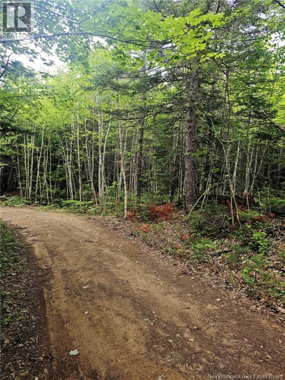 Lot 34 Off Green Road, Elgin, New Brunswick  E4Z 6L4 - Photo 17 - NB123658